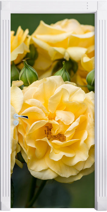Weiß gelbe Rose Blumen Türaufkleber