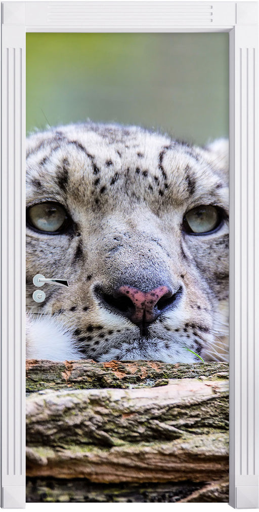 Schöner Leopard Türaufkleber