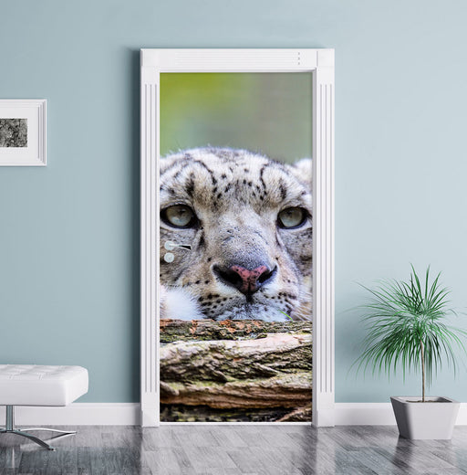 Schöner Leopard Türaufkleber im Wohnzimmer