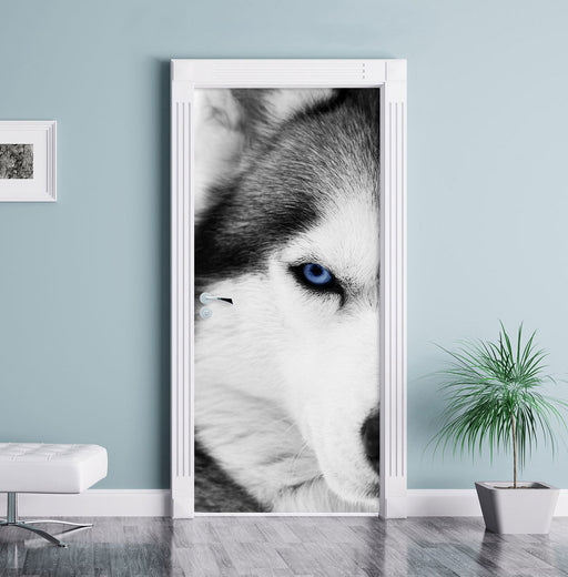 Husky mit blauen Augen Türaufkleber im gelben Wohnzimmer