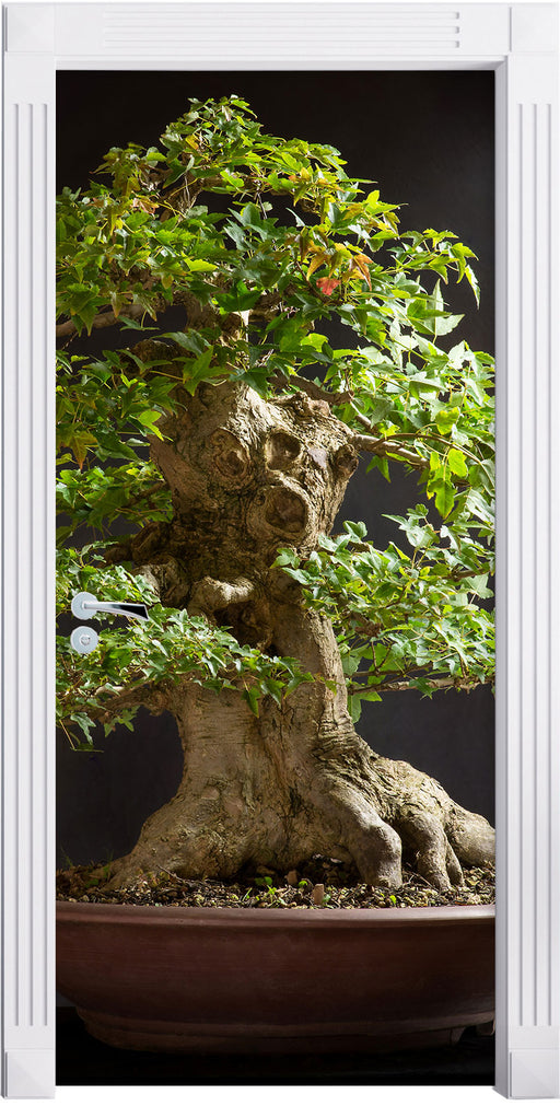Kleiner Bonsaibaum Türaufkleber