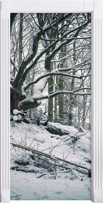 Wald mit Schnee bedeckt Türaufkleber
