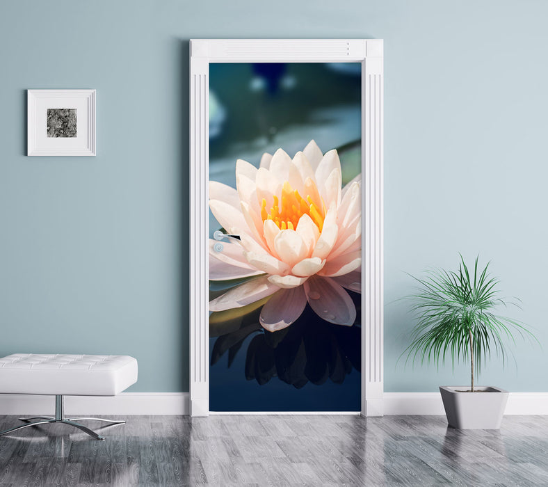 Eine rosa Lotusblume in Teich Türaufkleber im Wohnzimmer