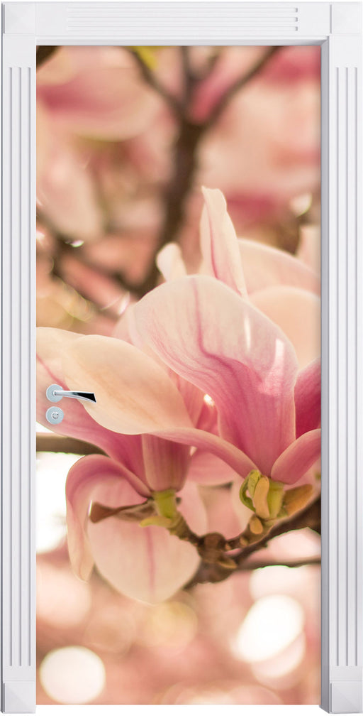 Rosa Magnolienblüten im Frühling Türaufkleber