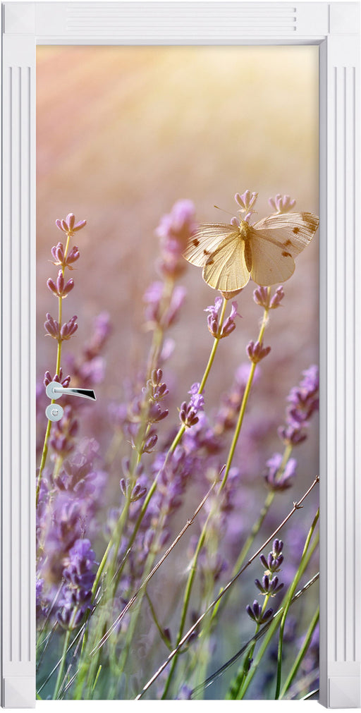 Schmetterlinge auf Lavendelblumen Türaufkleber