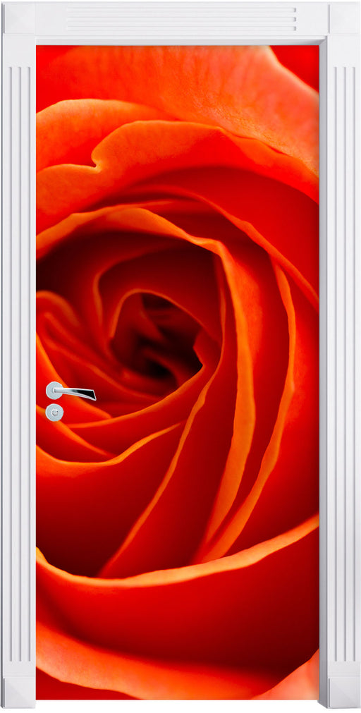 Detaillierte rote Rosenblüte Türaufkleber