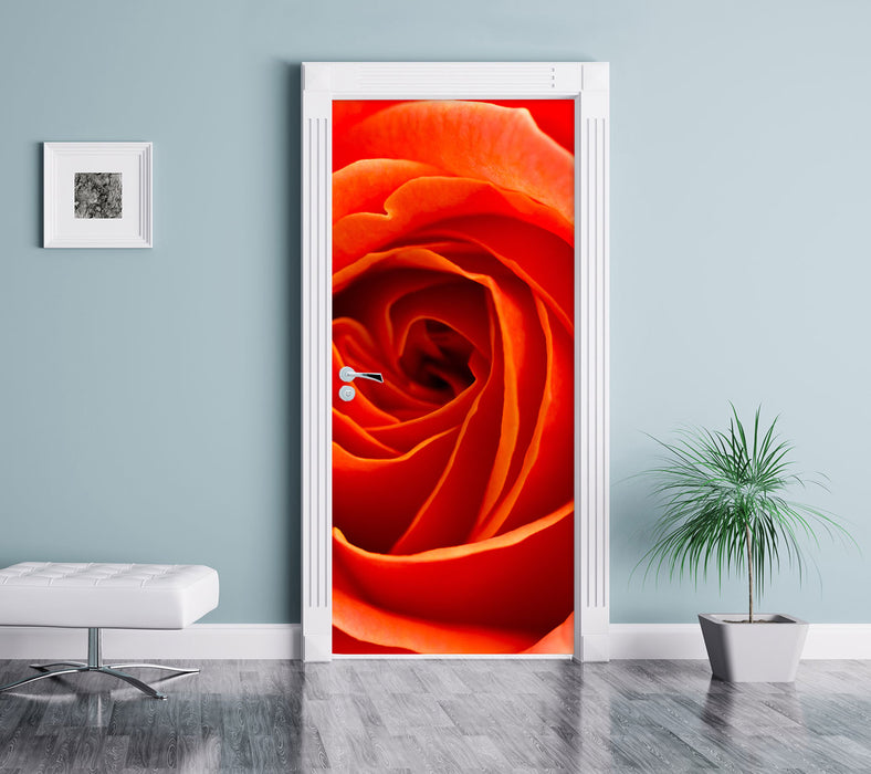 Detaillierte rote Rosenblüte Türaufkleber im Wohnzimmer