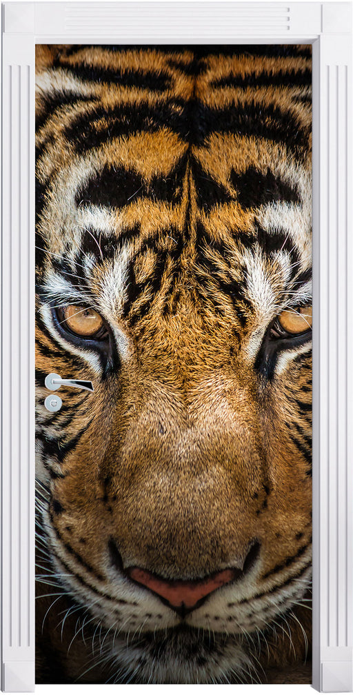 Tiger mit hellbraunen Augen Türaufkleber
