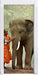 wunderschöner Elefant mit Mönch Türaufkleber