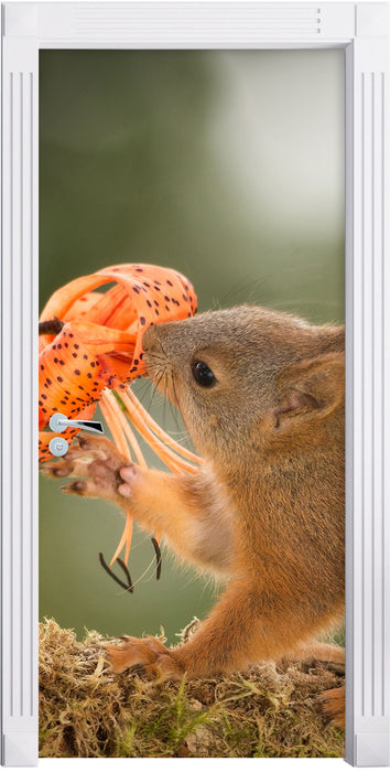 Eichhörnchen riecht an einer Blume Türaufkleber