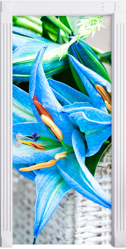 schöne blaue Blumen im Körbchen Türaufkleber