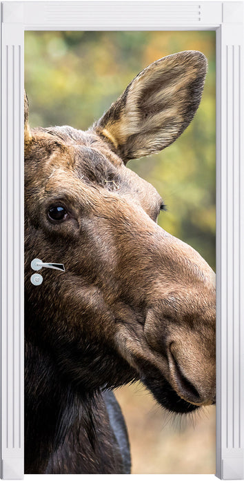 Elch im Wald Türaufkleber