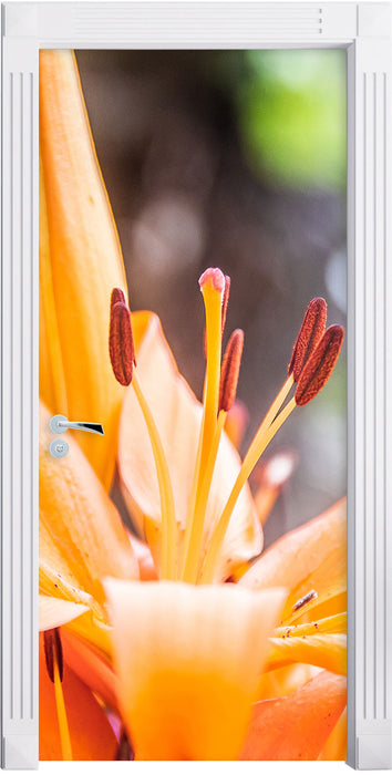 schöne orangene Lilien Türaufkleber