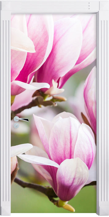 feine rosa farbende Blüte Türaufkleber