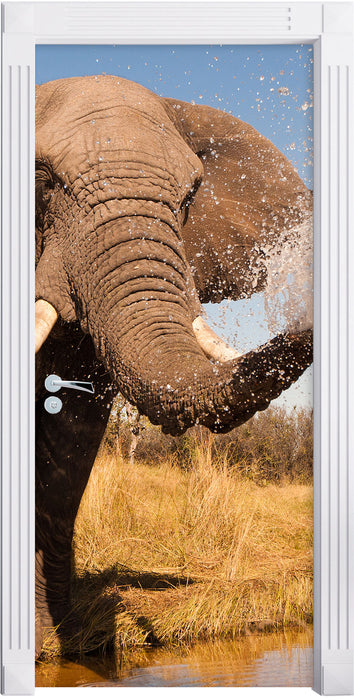 schöner Elefant spritzt mit Wasser Türaufkleber