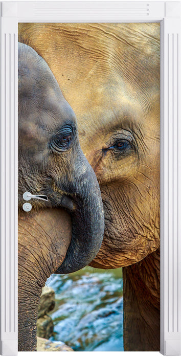 Elefantenmutter mit Kalb Türaufkleber