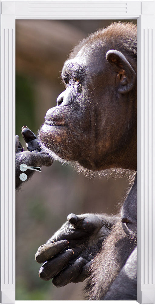Schimpansen Freundschaft Türaufkleber