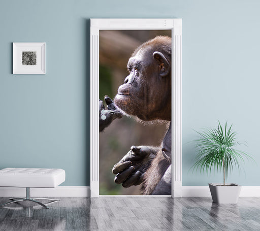 Schimpansen Freundschaft Türaufkleber im Wohnzimmer
