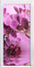 Wunderschöne Orchideenblüten Türaufkleber