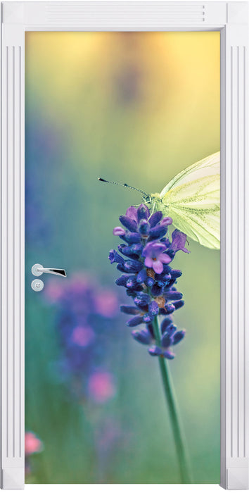 Schmetterling auf Lavendel Türaufkleber