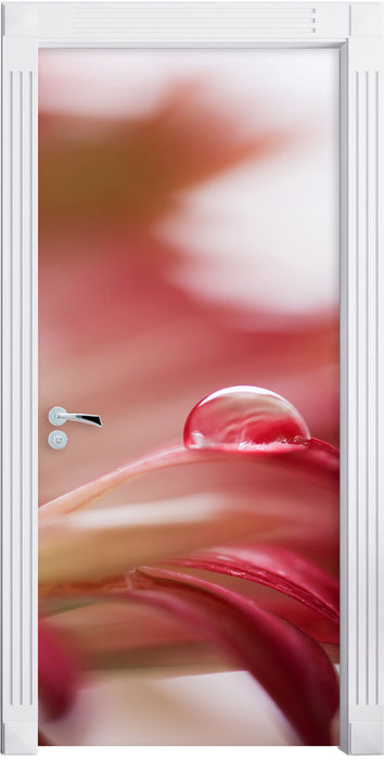 Regentropfen auf rosa Blütenblatt Türaufkleber