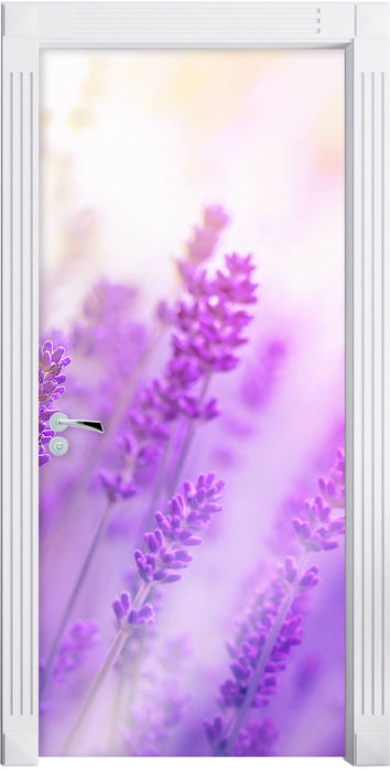 Schöner Lavendel im sanften Licht Türaufkleber