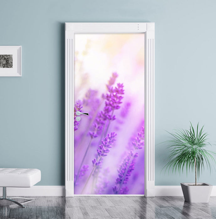 Schöner Lavendel im sanften Licht Türaufkleber im Wohnzimmer
