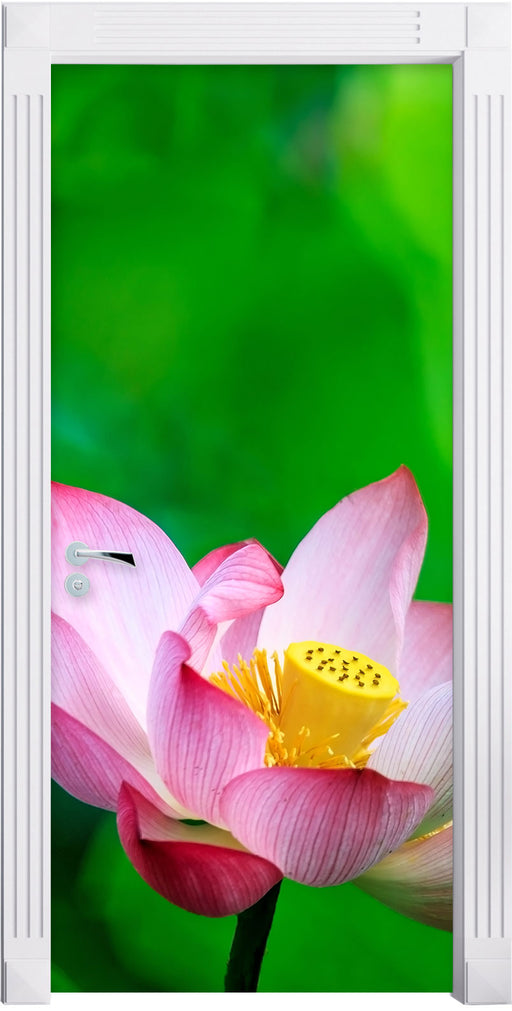 Wunderschöne Lotusblüten Türaufkleber