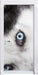 Husky mit Eisblauen Augen im Bett Türaufkleber