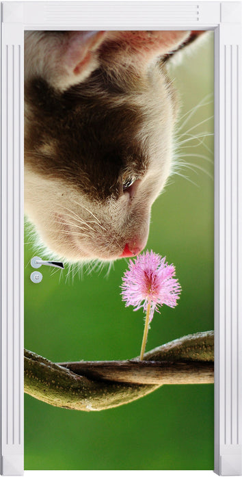 Süßes Kätzchen mit Blüte Türaufkleber