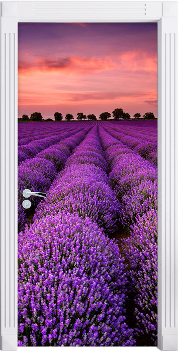 Lila Lavendel Provence Türaufkleber