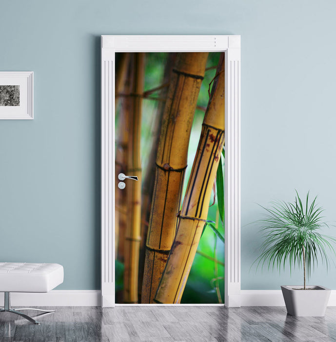 Alter Bambus Wald Türaufkleber im Wohnzimmer