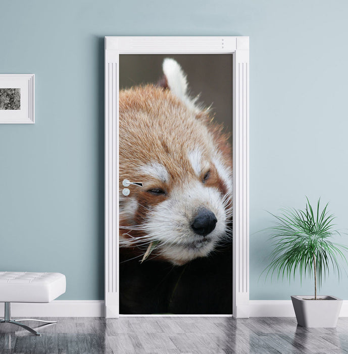Kleiner Panda sagt Hallo Türaufkleber im Wohnzimmer