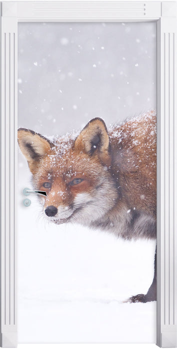 Roter Fuchs im Schneegestöber Türaufkleber