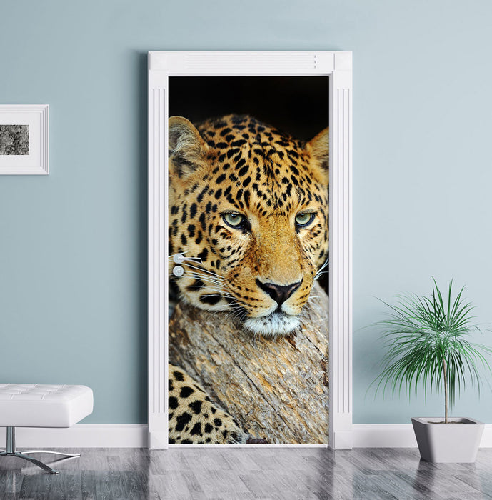 Ruhiger Leopard Türaufkleber im Wohnzimmer