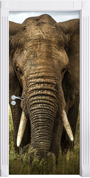 Imposanter Elefant Türaufkleber