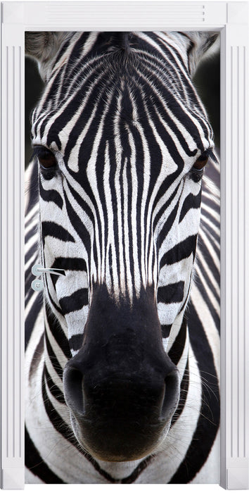 Zebra Porträt Türaufkleber