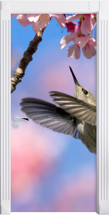 Kolibri an Kirschblüte Türaufkleber