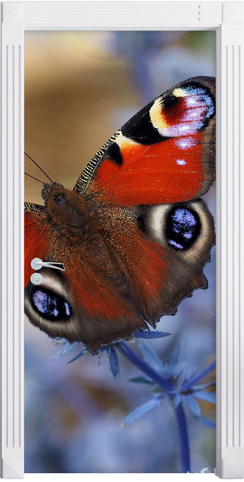 Schöner Schmetterling Pfauenauge Türaufkleber