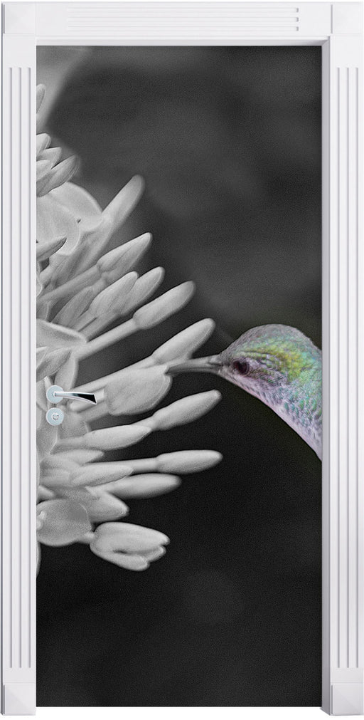 Kolibri an Blüte Türaufkleber