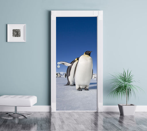 Kaiserpiguine in Antarktis Türaufkleber im Wohnzimmer