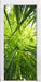 Grüner Bambus Türaufkleber