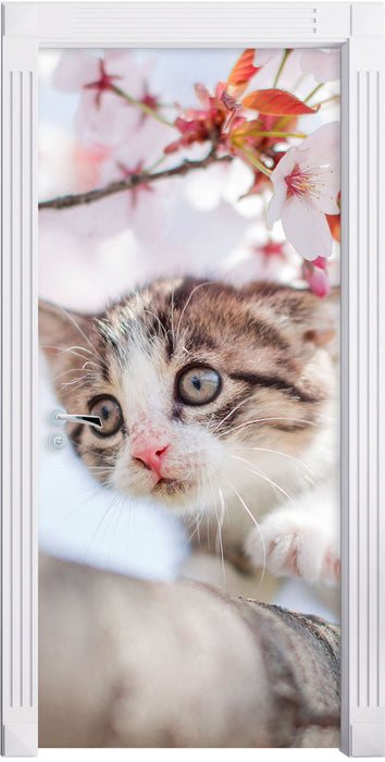 Süßes Kätzchen im Kirschbaum Türaufkleber