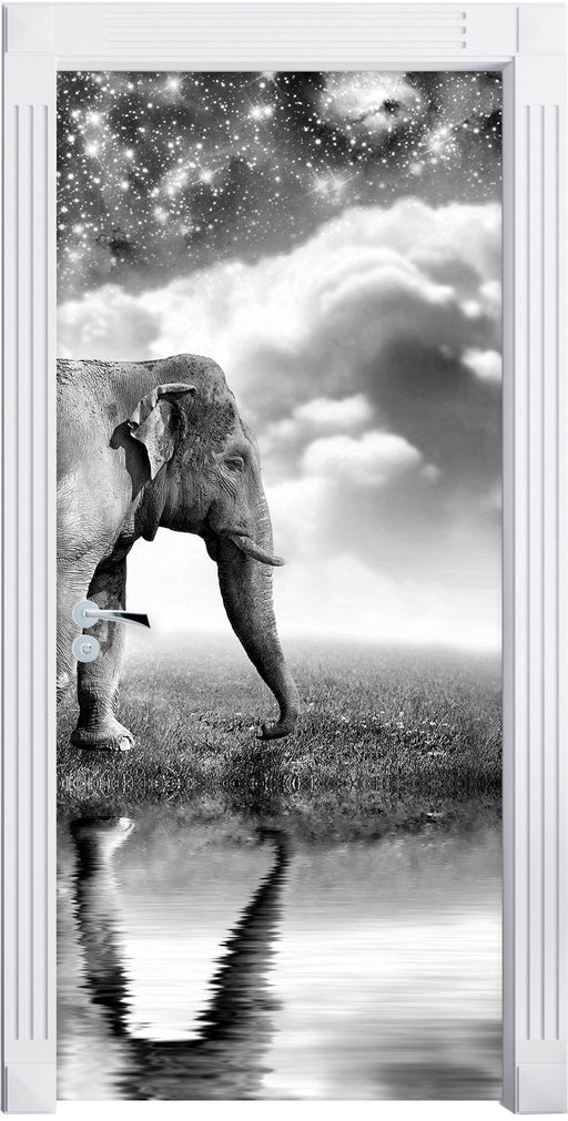 Elefant, Wiese, Himmel, Afrika Türaufkleber