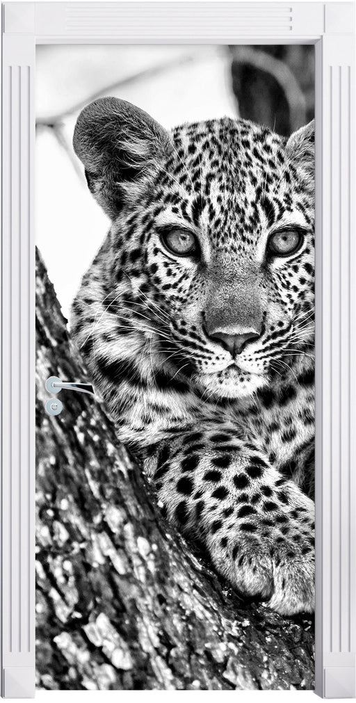 Leopardenbaby Türaufkleber