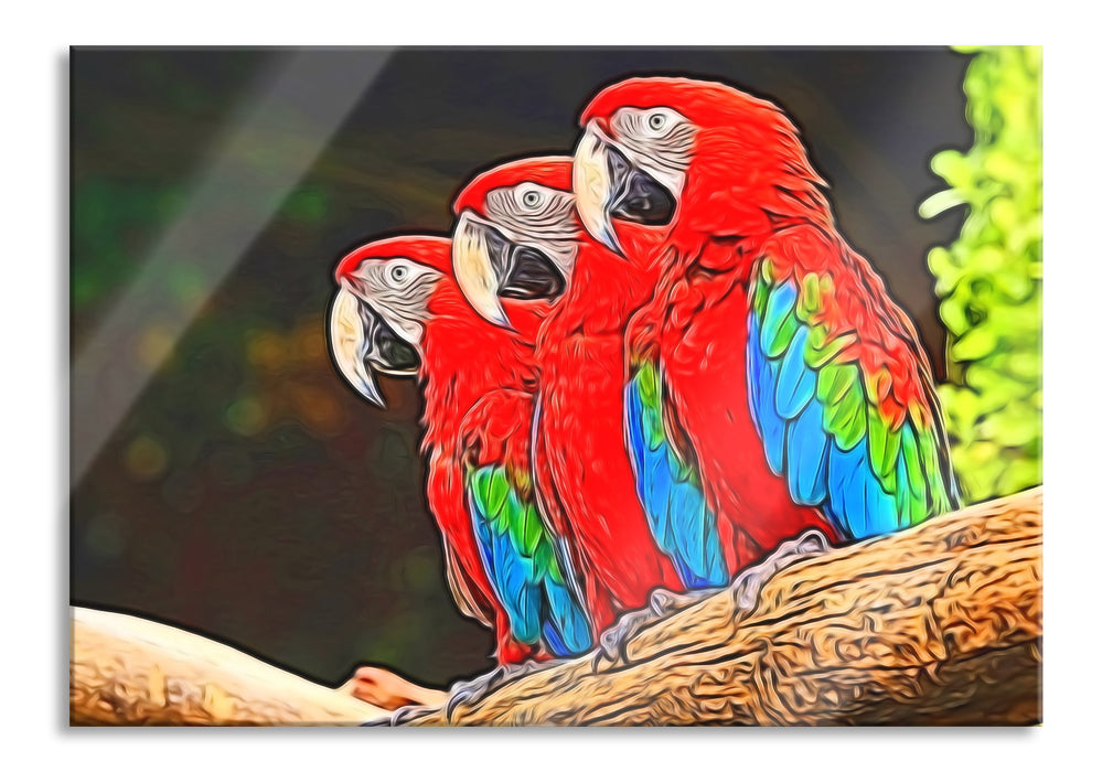 Bunte Papageien auf Ast, Glasbild