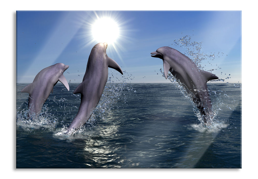 Pixxprint springende Delphine, Glasbild