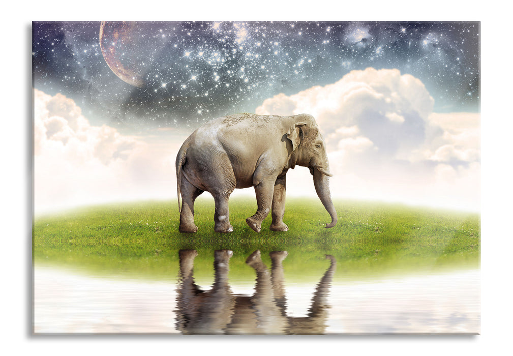 Pixxprint Einsamer Elefant Sternenhimmel, Glasbild