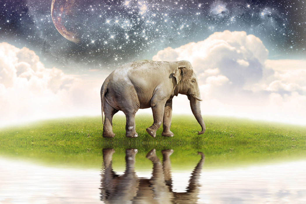 Einsamer Elefant Sternenhimmel, Glasbild