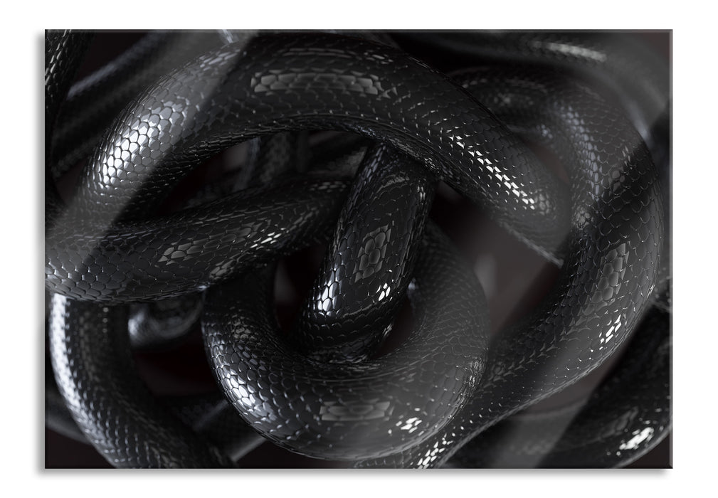Schwarze elegante Schlange, Glasbild